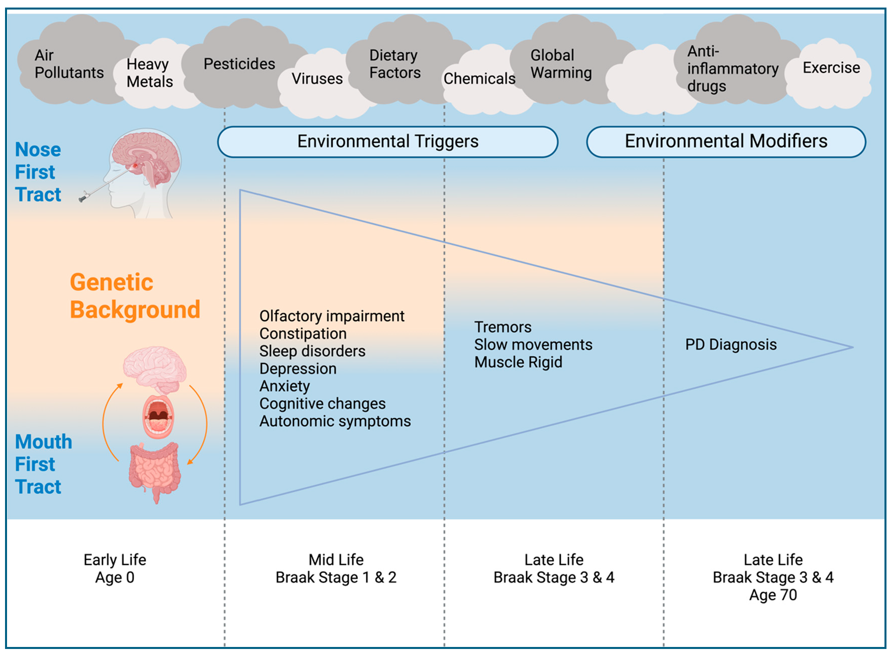Exploring environmental factors contributing to Parkinson’s disease in ...