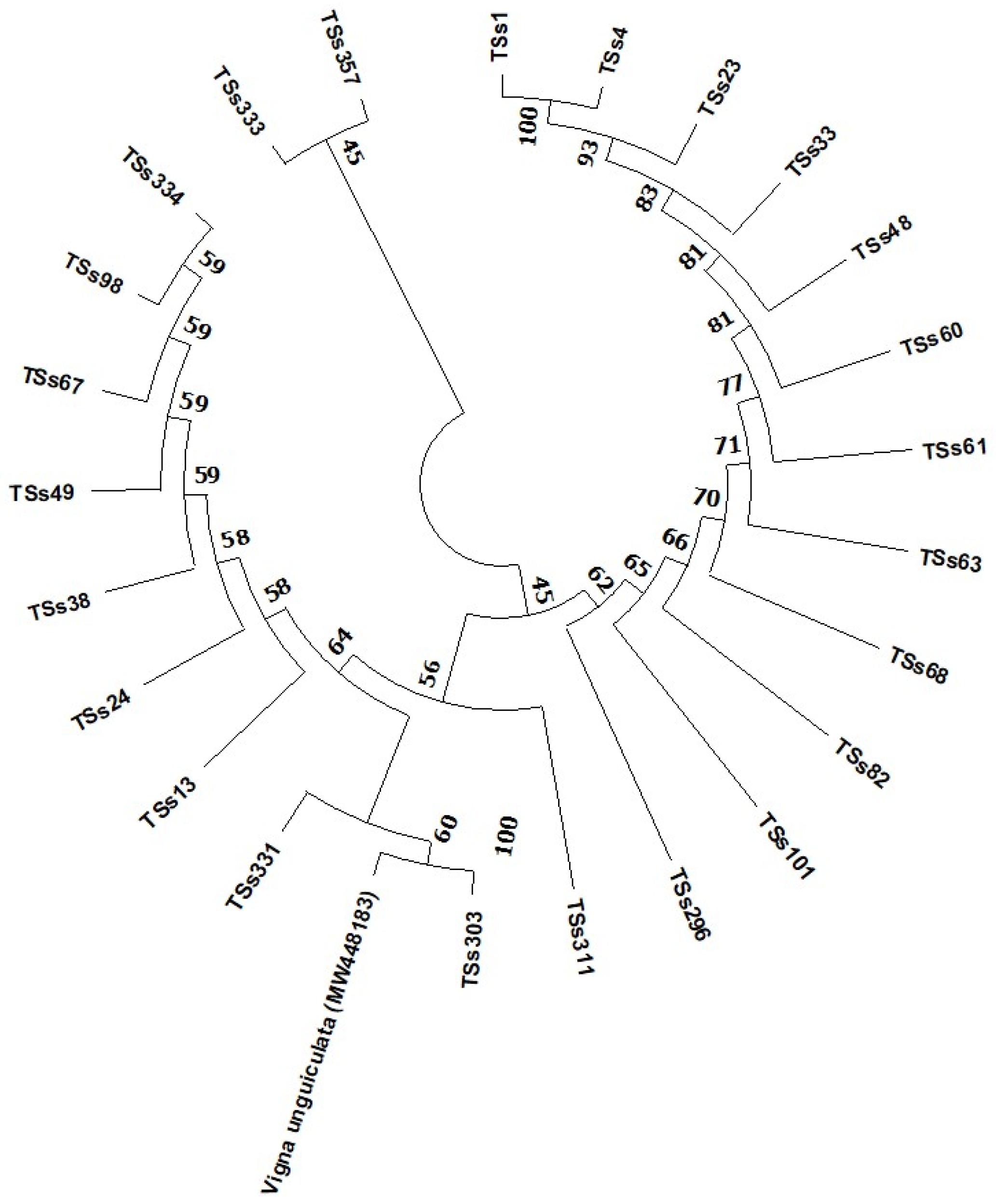The genetic variability and phylogenetic relationships of African yam ...